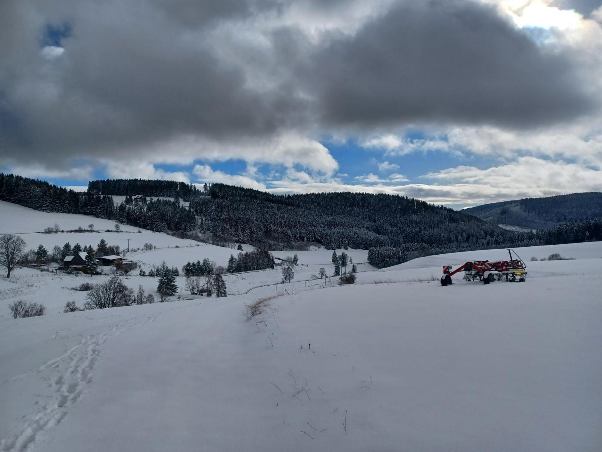 Apartmán Schwarzwaldstube Titisee-Neustadt Exteriér fotografie